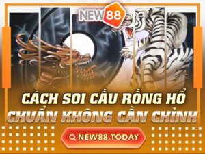 Cách Soi Cầu Rồng Hổ Chuẩn Không Cần Chỉnh Mà Bạn Nên Biết